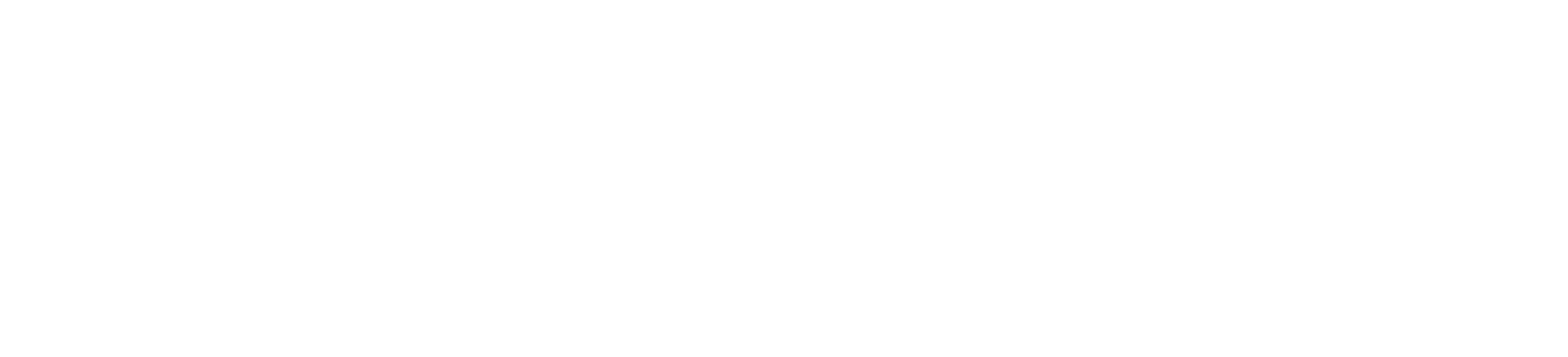 Soulink